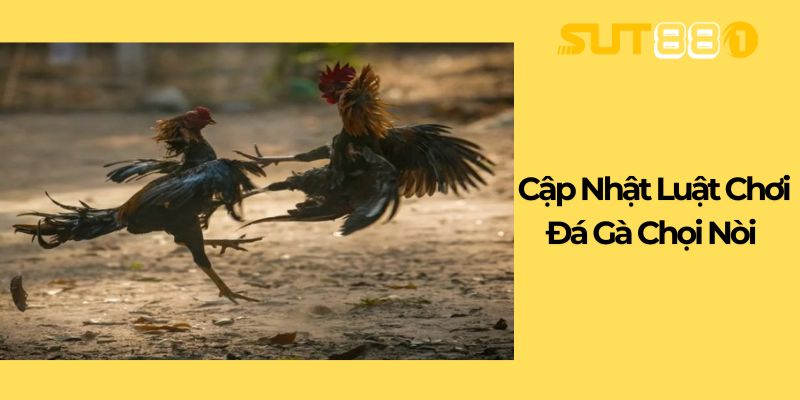 Cập Nhật Luật Chơi Đá Gà Chọi Nòi