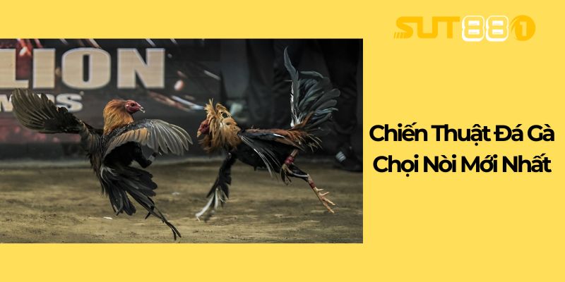 Chiến Thuật Đá Gà Chọi Nòi Mới Nhất