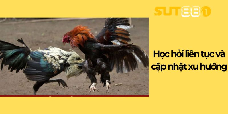 Học hỏi liên tục và cập nhật xu hướng