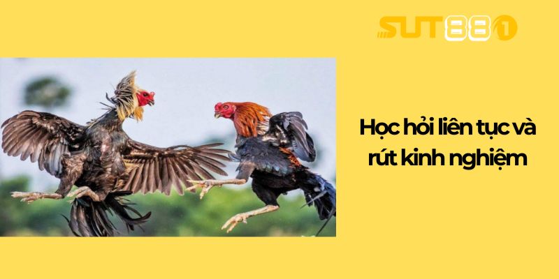 Học hỏi liên tục và rút kinh nghiệm