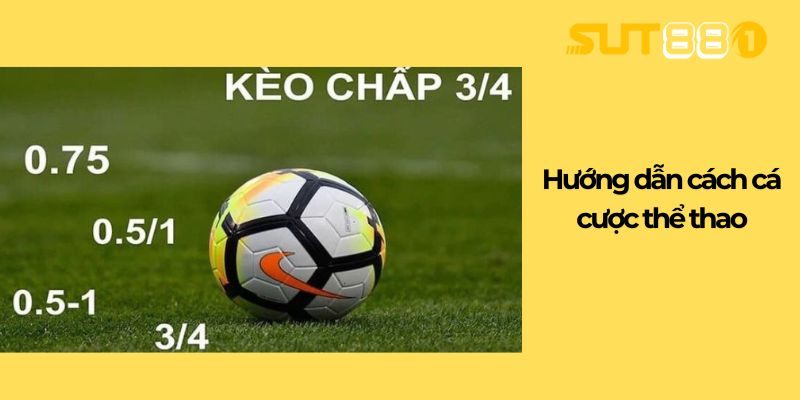 Hướng dẫn cách cá cược thể thao