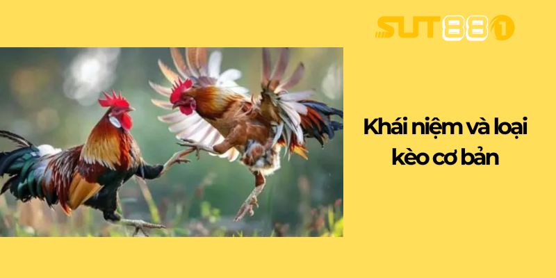 Khái niệm và loại kèo cơ bản