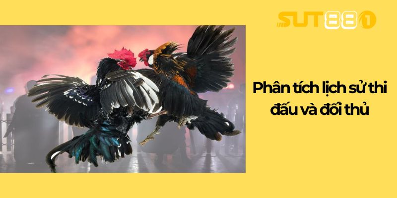 Phân tích lịch sử thi đấu và đối thủ