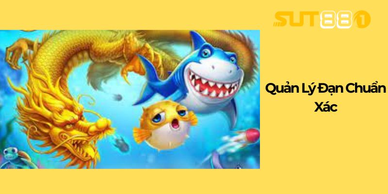 Quản Lý Đạn Chuẩn Xác