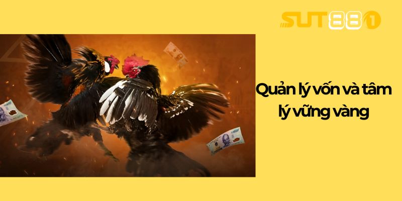 Quản lý vốn và tâm lý vững vàng